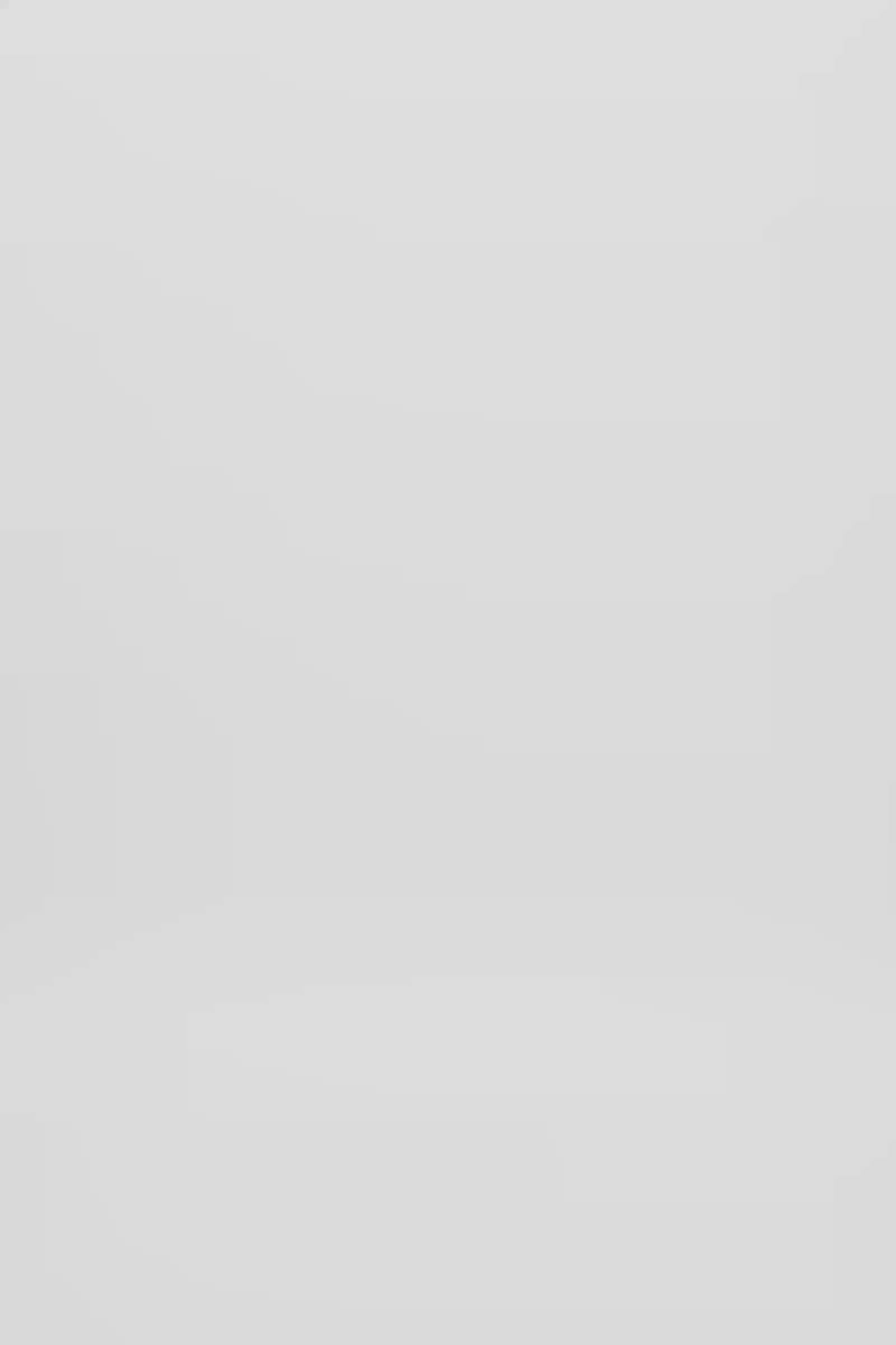 Magna - Plume combo full skirt I PRE-ORDER I Black 10 - Rabens Saloner